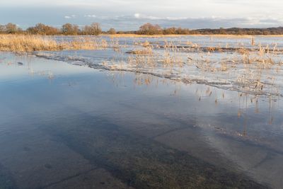 High angle view of flooded field