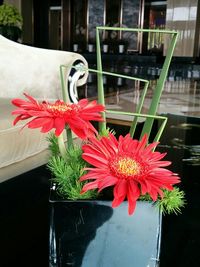 Close-up of red flowers