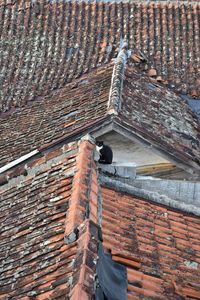 Low angle view of roof