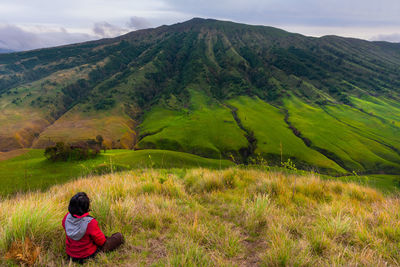 Rear view of man looking at mountain