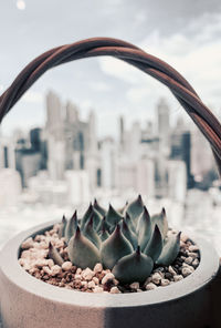 Close-up of food in city against sky