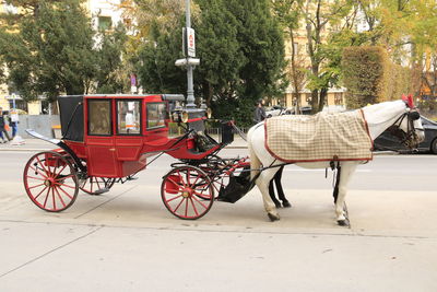 Red horse carriage 