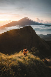 View of dog on mountain against sky