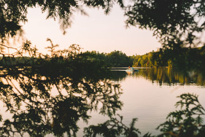 Lake seen through branches during sunset