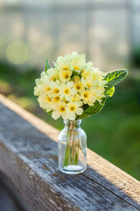 Close-up of yellow flower in vase on table