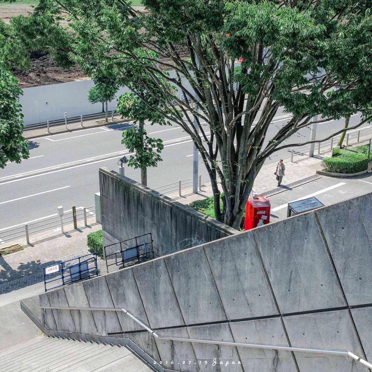 tree, architecture, built structure, city, day, growth, outdoors, footpath, no people, green color, plant, walkway, city life, the way forward, modern, nature