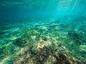 Underwater at