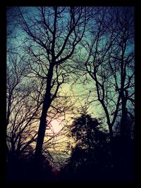 Bare trees against sky at sunset