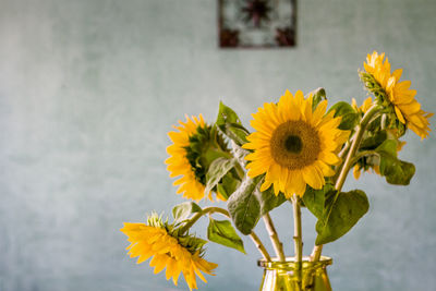 Sunflowers in vase against wall at home