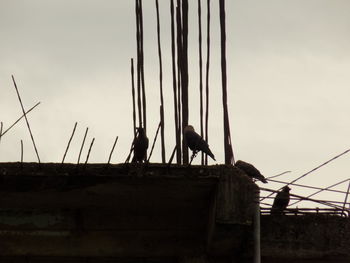 Low angle view of silhouette crane against sky