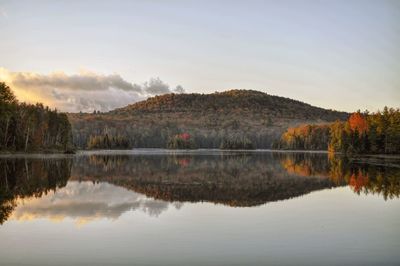 Scenic view of lake by trees against sky