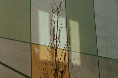 Close-up of wall with shadow on tiled floor