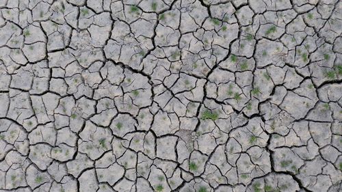 Full frame shot of cracked field