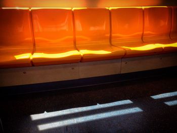 Close-up of yellow flower