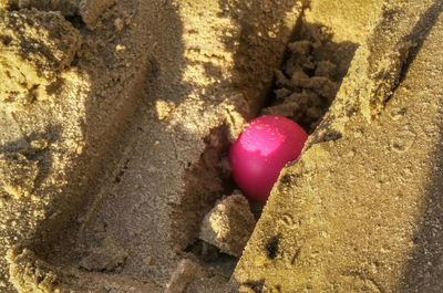 High angle view of pink and rock formation