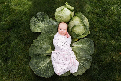 Newborn girl 3 months is lying in a green cabbage. vegetables. happy childhood.