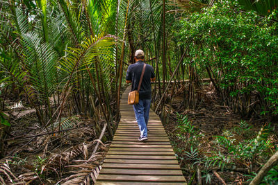 Rear view of man walking on staircase