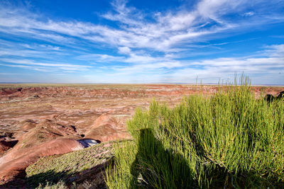 Scenic view of land against sky