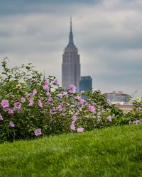 Flowers in front of building