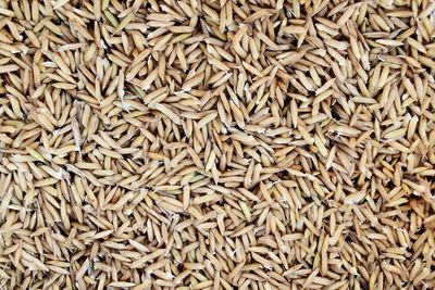 Full frame shot of beans