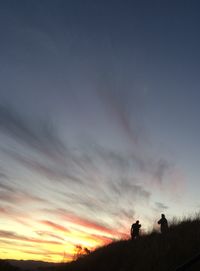 Silhouette of trees at sunset