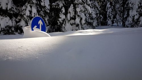 Snow covered landscape