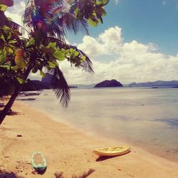 Scenic view of beach against sky