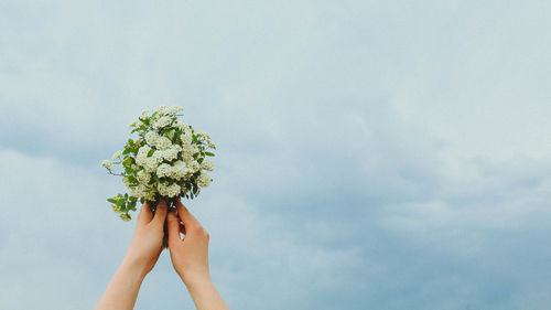 Midsection of person holding plant against sky