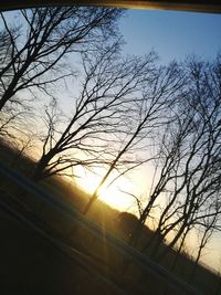 Low angle view of silhouette bare trees against sky