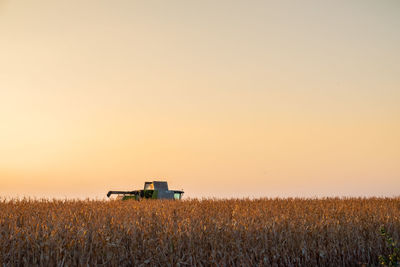 Scenic view of agricultural field against sky during sunset