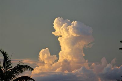 Low angle view of silhouette palm trees against sky