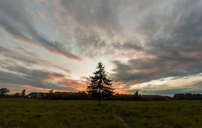 Scenic view of field against sky during sunset