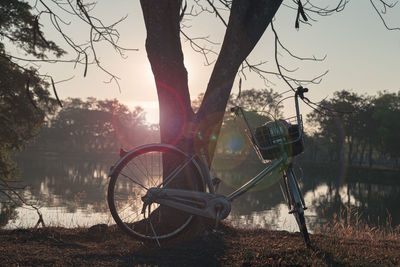 Beautiful scenery and a bicycle parked in the park in the morning.