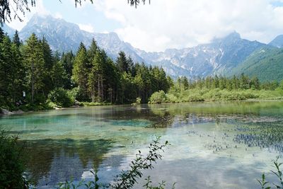 Scenic view of lake by trees against sky