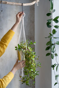 Midsection of woman holding potted plant