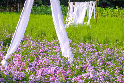 Low section of woman with flower buds on field