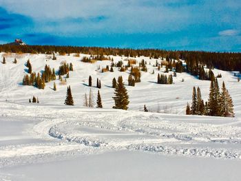 Scenic view of snow covered field against sky