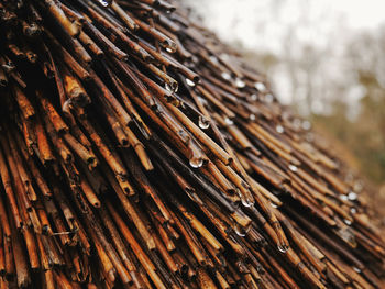 Close-up of wood