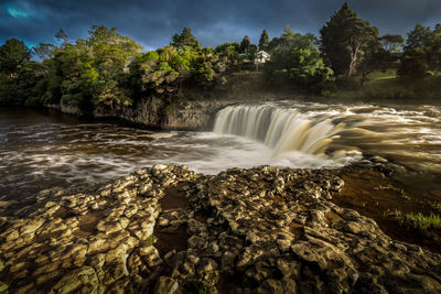 View of waterfall in forest