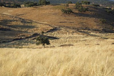 View of rural landscape