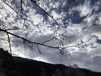 Low angle view of bare tree against cloudy sky