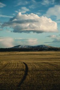 Scenic view of field against sky