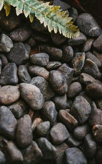 High angle view of pebbles on rocks