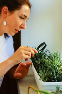 Inspection of domestic plants for the presence of pests and diseases with a magnifying glass