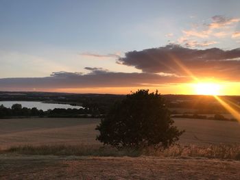 Scenic view of field against sky during sunset