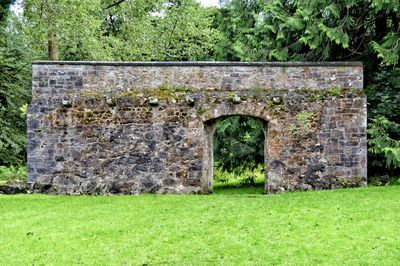 Old stone wall on field against trees