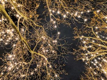 Full frame shot of illuminated star field at night