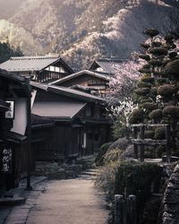 Houses by trees and buildings in city