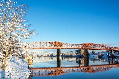 Bare trees in city against clear blue sky