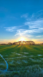 Scenic view of field against sky during sunset